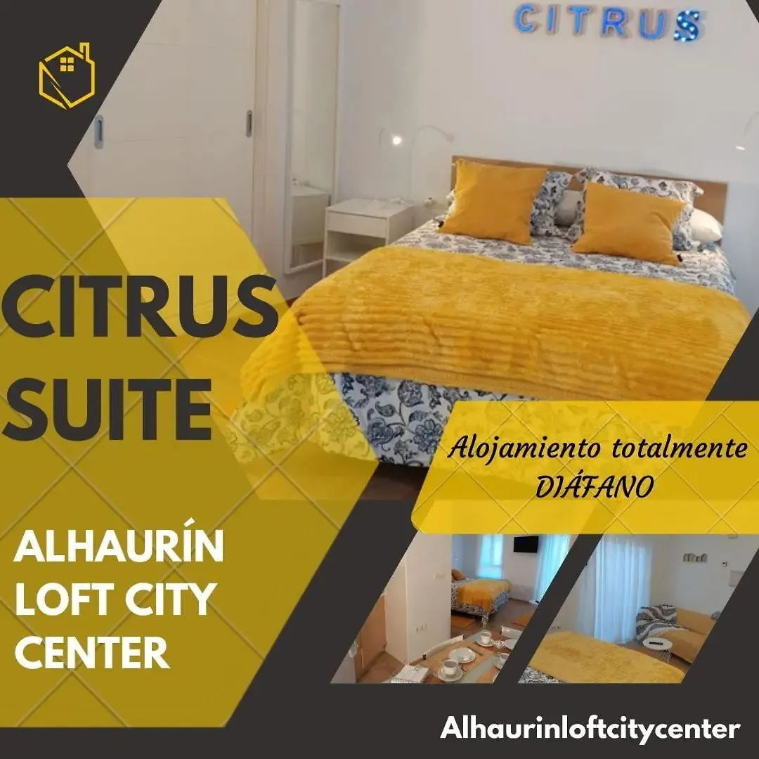 Apartment Citrus Suite By Alhaurin Loft City Center Alhaurin de la Torre