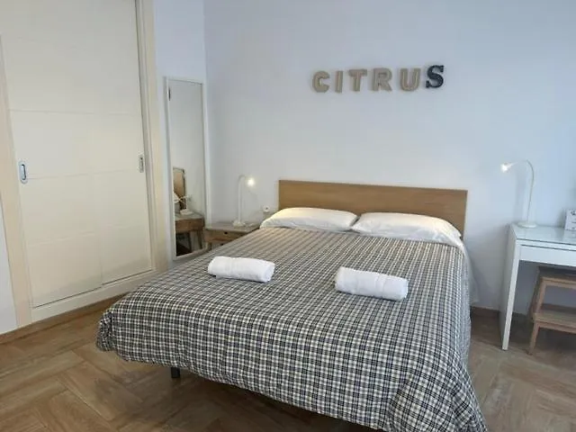 Citrus Suite By Alhaurin Loft City Center Alhaurin de la Torre Apartment