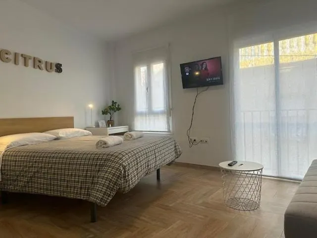 Citrus Suite By Alhaurin Loft City Center Alhaurin de la Torre