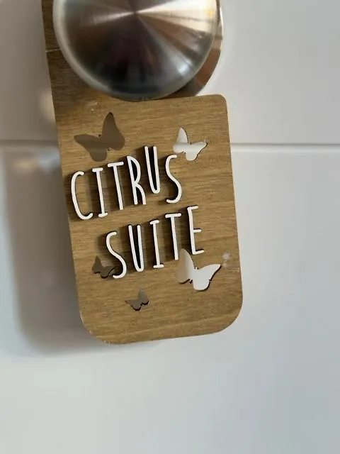 Citrus Suite By Alhaurin Loft City Center Alhaurin de la Torre Apartment