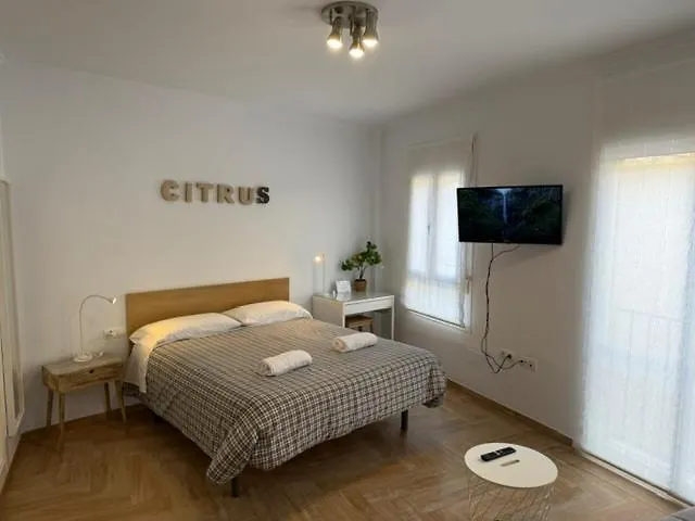 Apartment Citrus Suite By Alhaurin Loft City Center Alhaurin de la Torre Spain